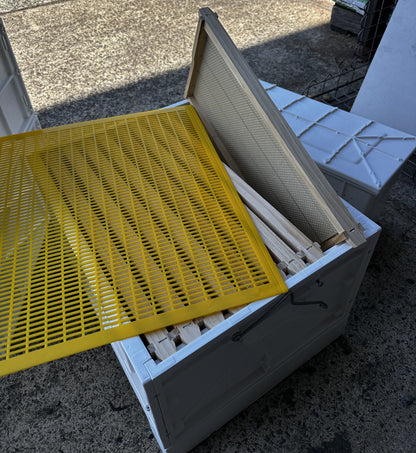 Nuplas Double Hive Pack with Bees