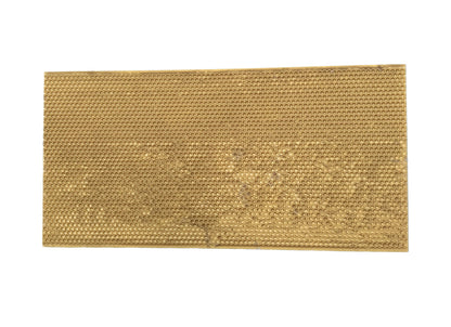 Plastic Foundation Insert with Wax FULL DEPTH