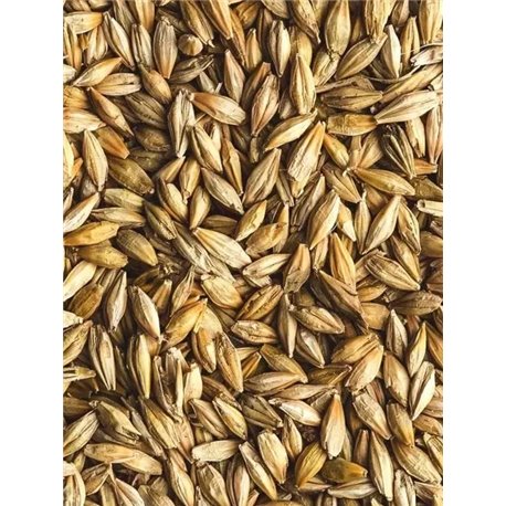 Avigrain Barley 20kg