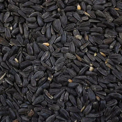 Avigrain Black Sunflower Seeds