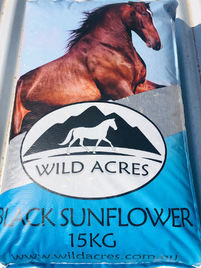 Avigrain Black Sunflower Seeds