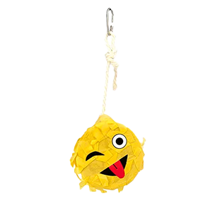 Bird Toy Emoji Pinata - Wink