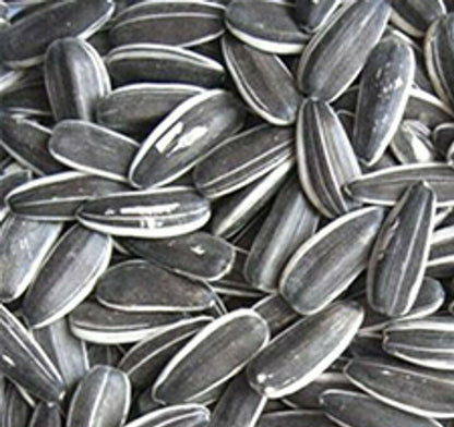 Avigrain Grey Striped Sunflower Seeds