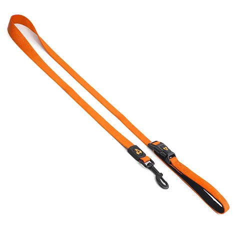 Nylon Dog Leash Small