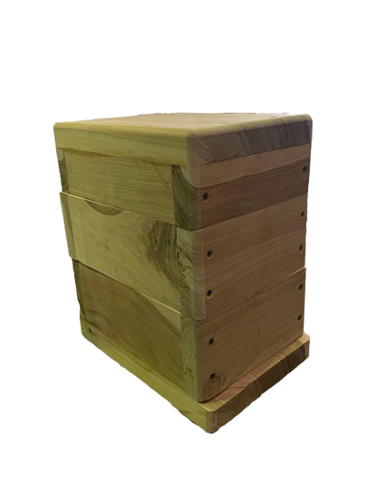 Native Bee Hive Oath Size