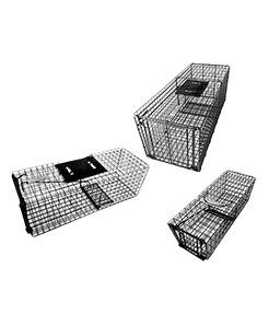 Animal Trap
