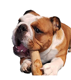 Nino's Java Tuff Dog Chew